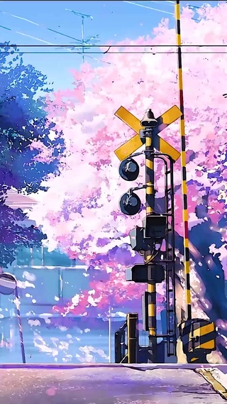 樱花下