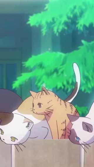 摇头晃脑小猫咪