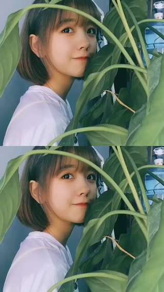 杨咩咩