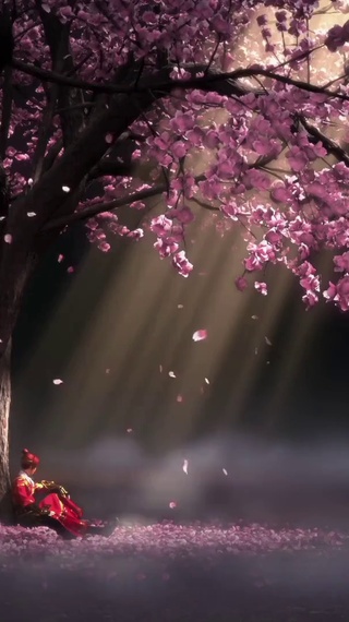 少年锦衣卫落英