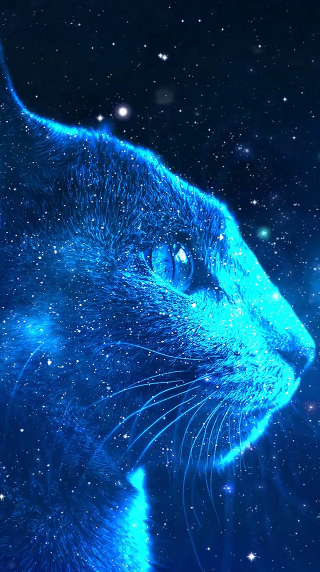 星空猫 科幻手机动态壁纸 科幻手机壁纸下载 元气壁纸