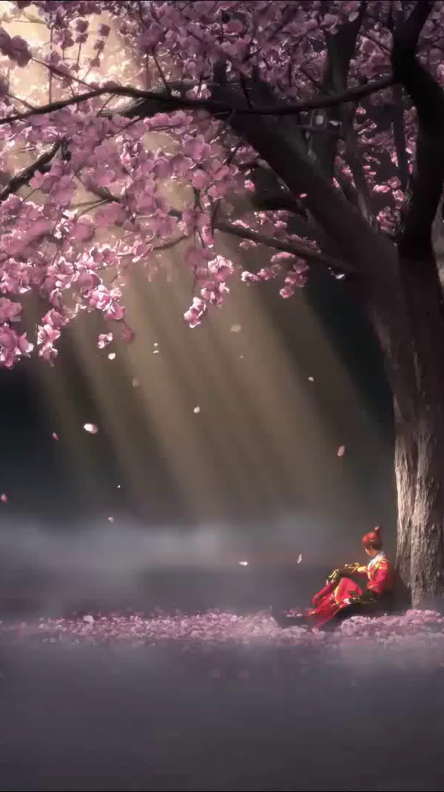 少年锦衣卫樱花