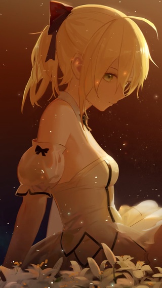 Saber Lily