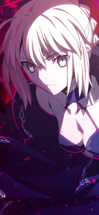 Saber Alter(特典)