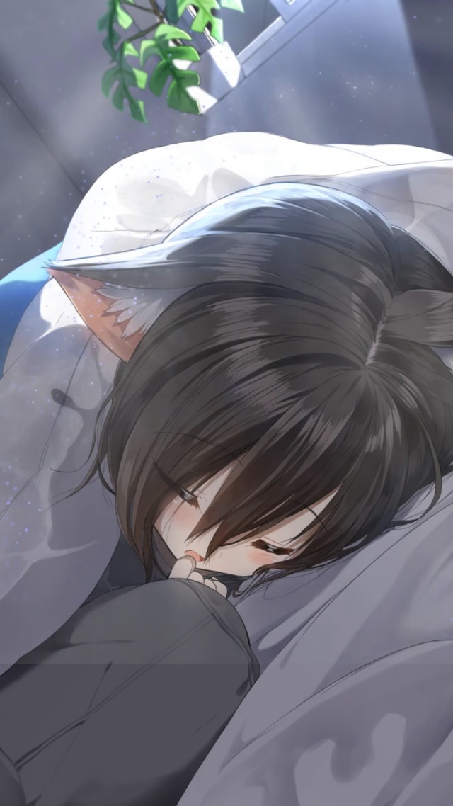 兽耳少女不想起床～