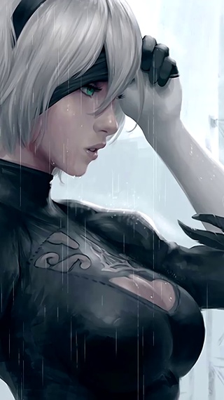 NieR Automata