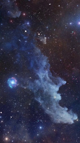 所念皆星河
