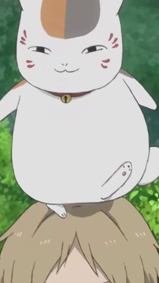 猫咪老师