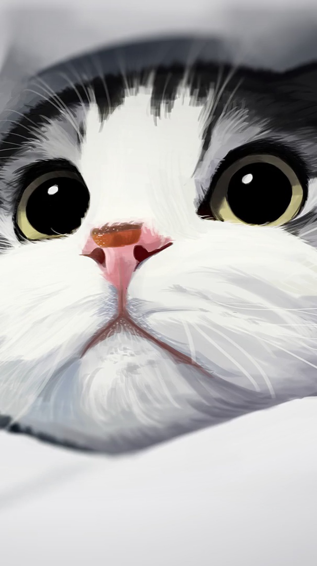 蓝白-美短-猫咪