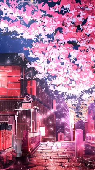 京都夜景樱花盛开