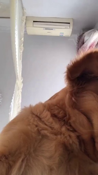 口口声声说你爱我