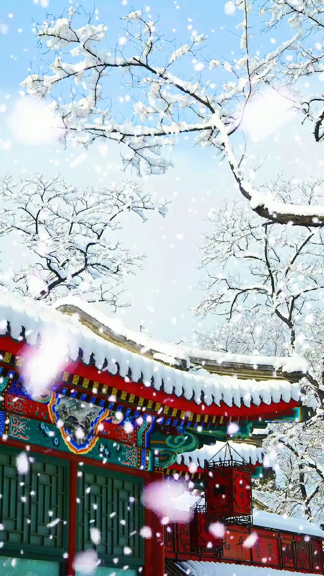 雪景 高清60帧