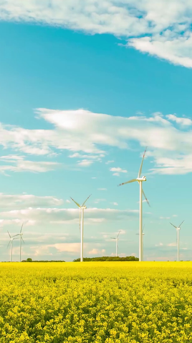 4K草原风车延时