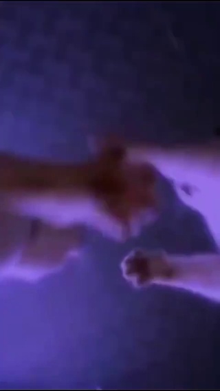 猫狗蹦迪微信状态视频