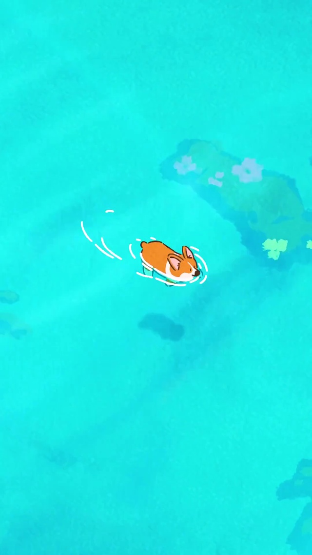 柯基和伙伴的日常