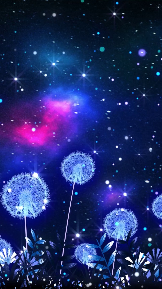 唯美浪漫的夜晚的蒲公