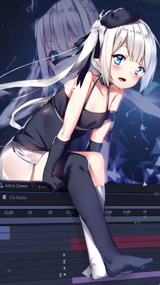 自用