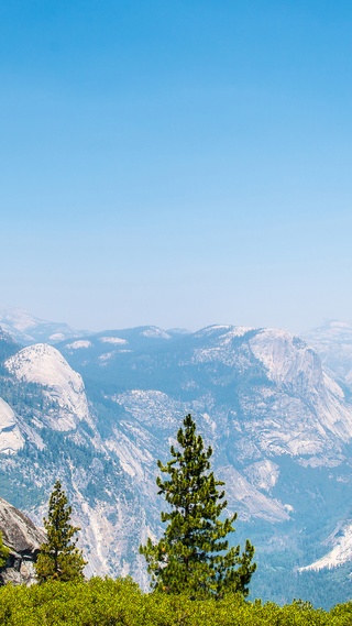 山,天空,树