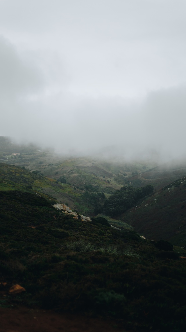 霧,唯美