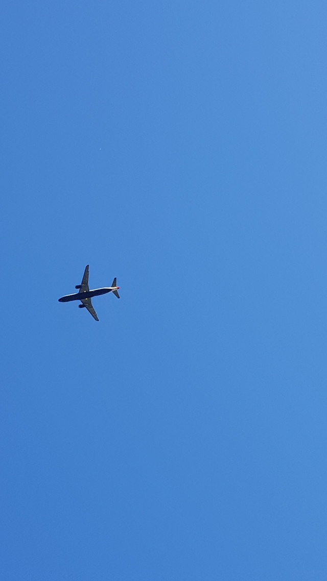 天空,飛機,藍天白雲