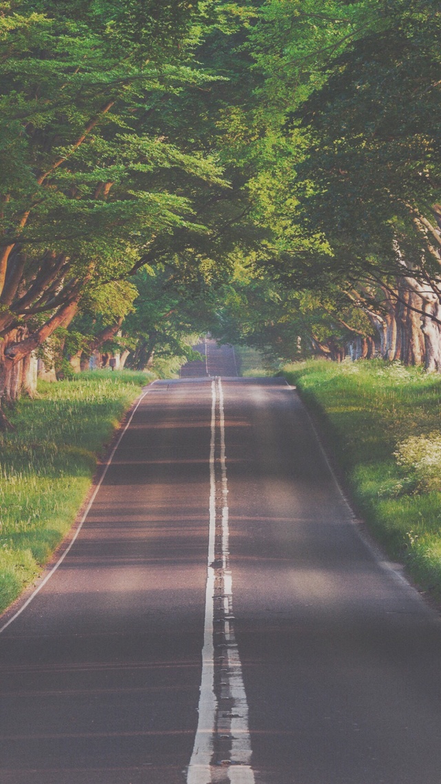 道路,花草樹木