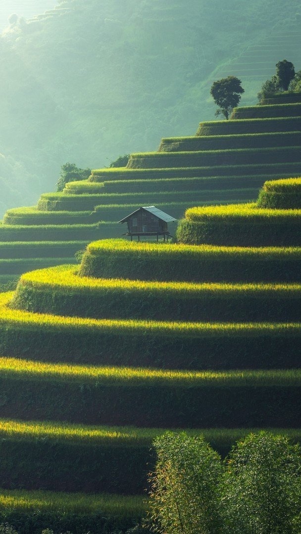 風景 自然景觀 梯田 田野 風景大片壁紙qq聊天背景圖