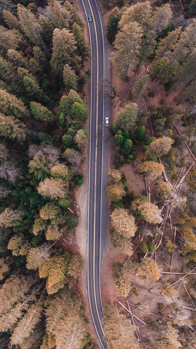 公路手机桌面图片