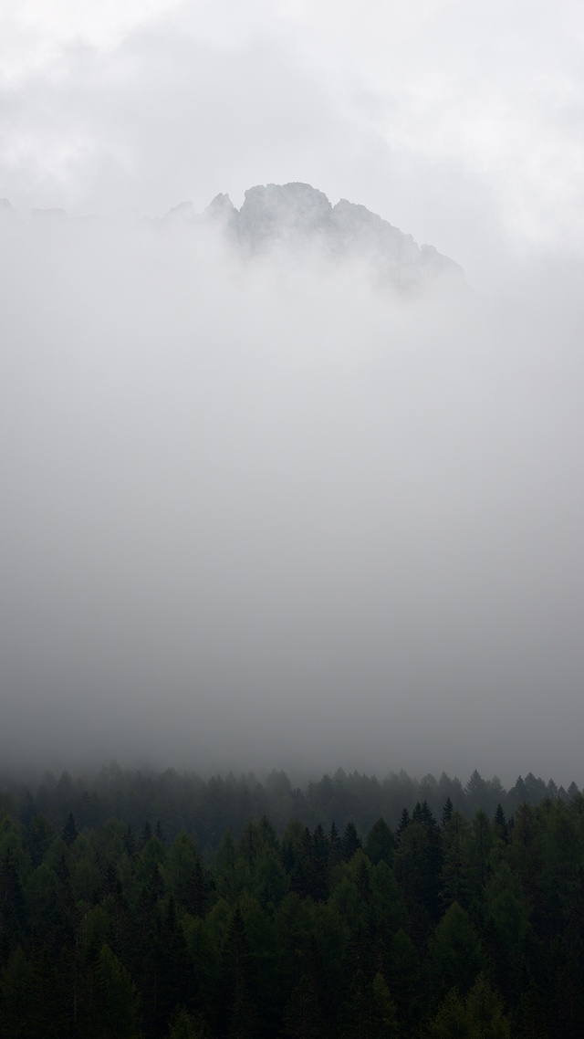 雨雪氣候