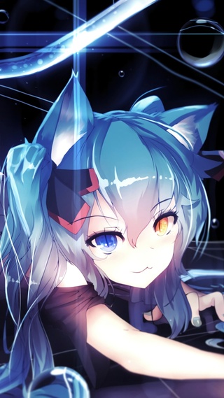 猫儿 初音未来 4k动漫壁纸壁纸