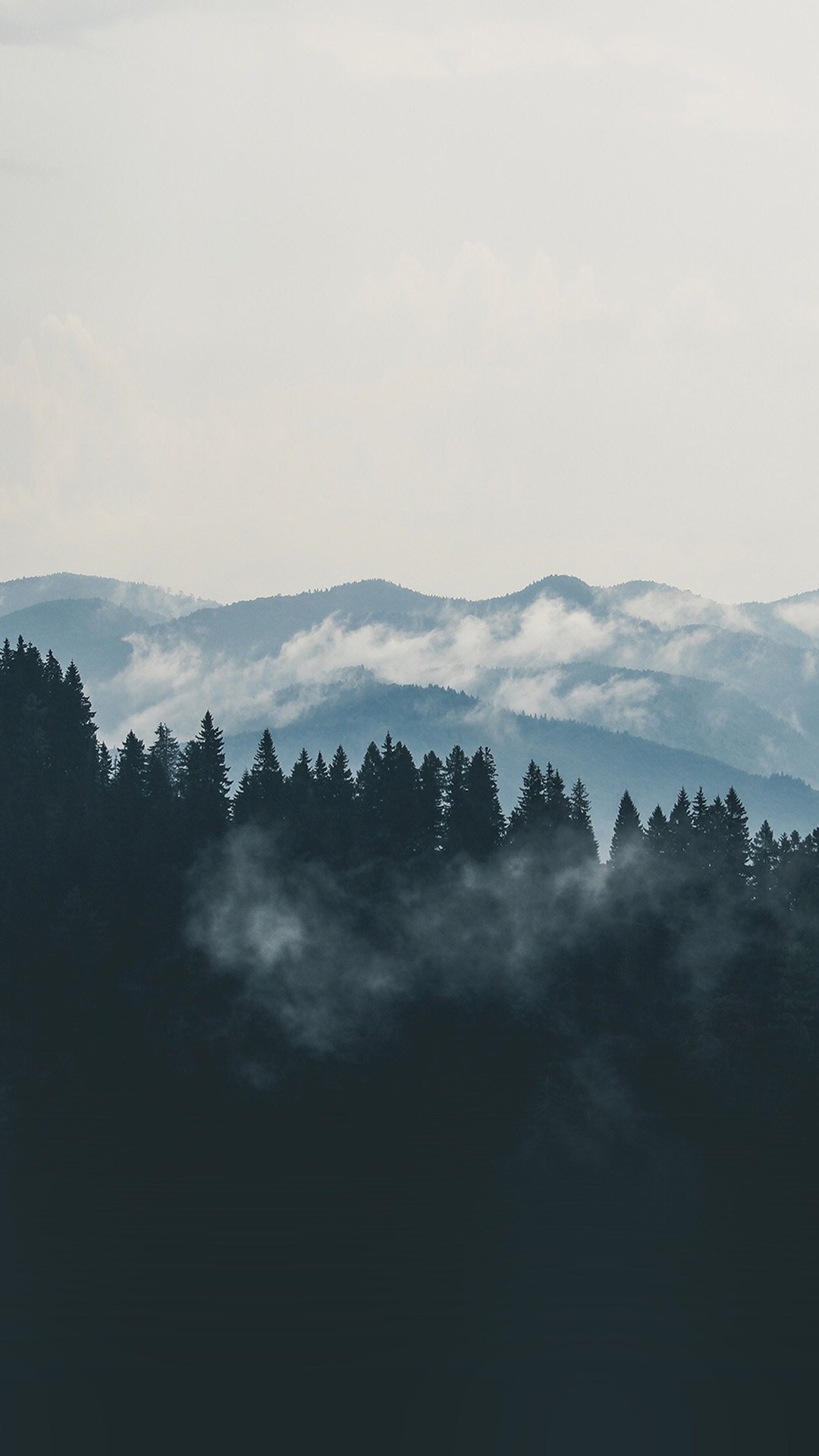 山,霧,森林