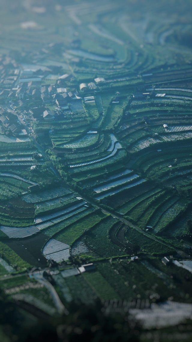 梯田,自然景觀微信背景牆壁紙