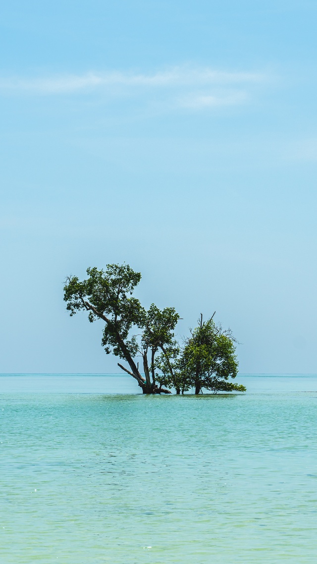 海洋微信背景壁紙