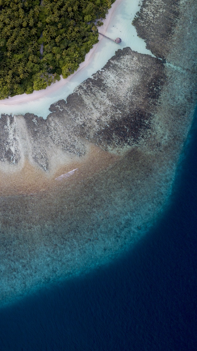 海洋聊天背景图