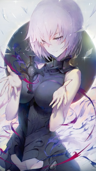 美少女,Fate,日漫,FGO