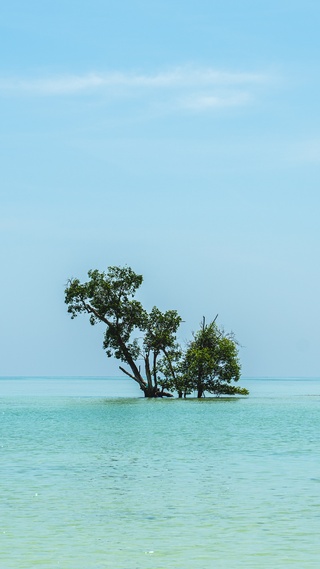 海洋微信背景壁纸