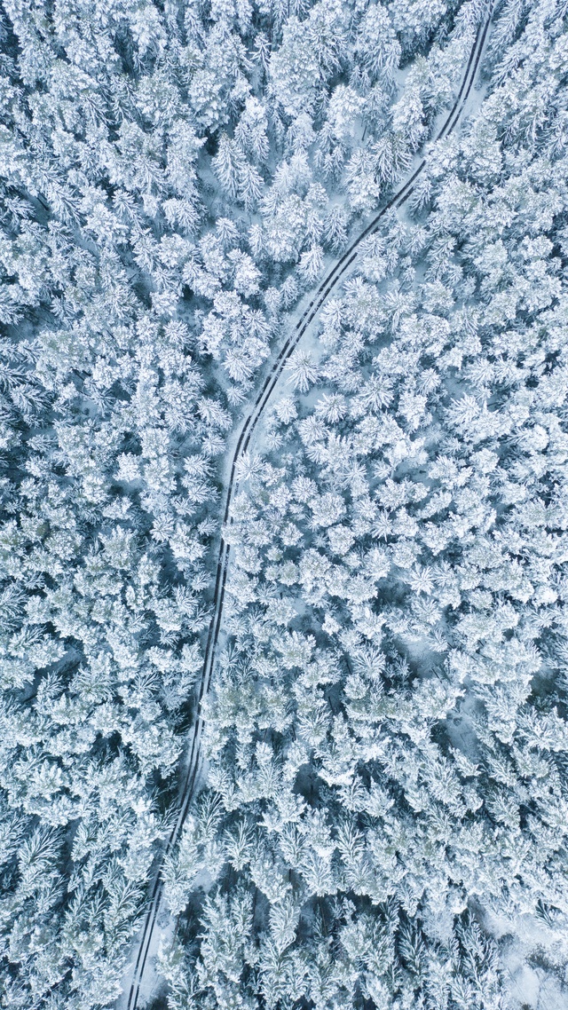 花草樹木,雨雪氣候