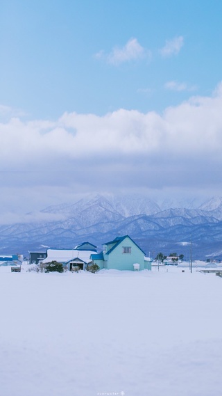 雪,冬天