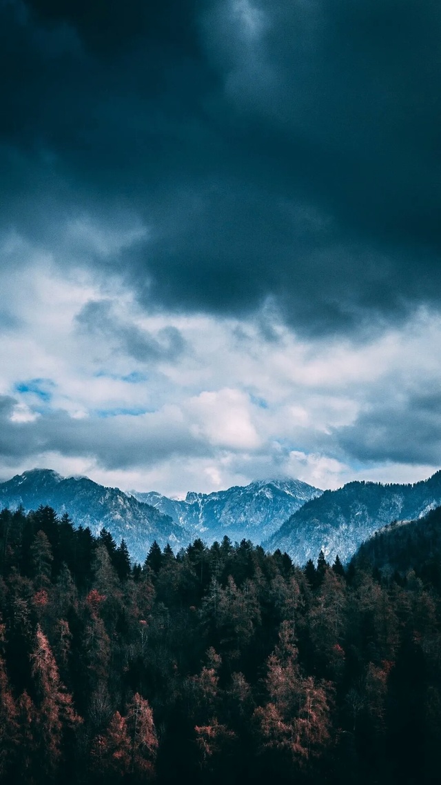 烏雲,森林,山脈