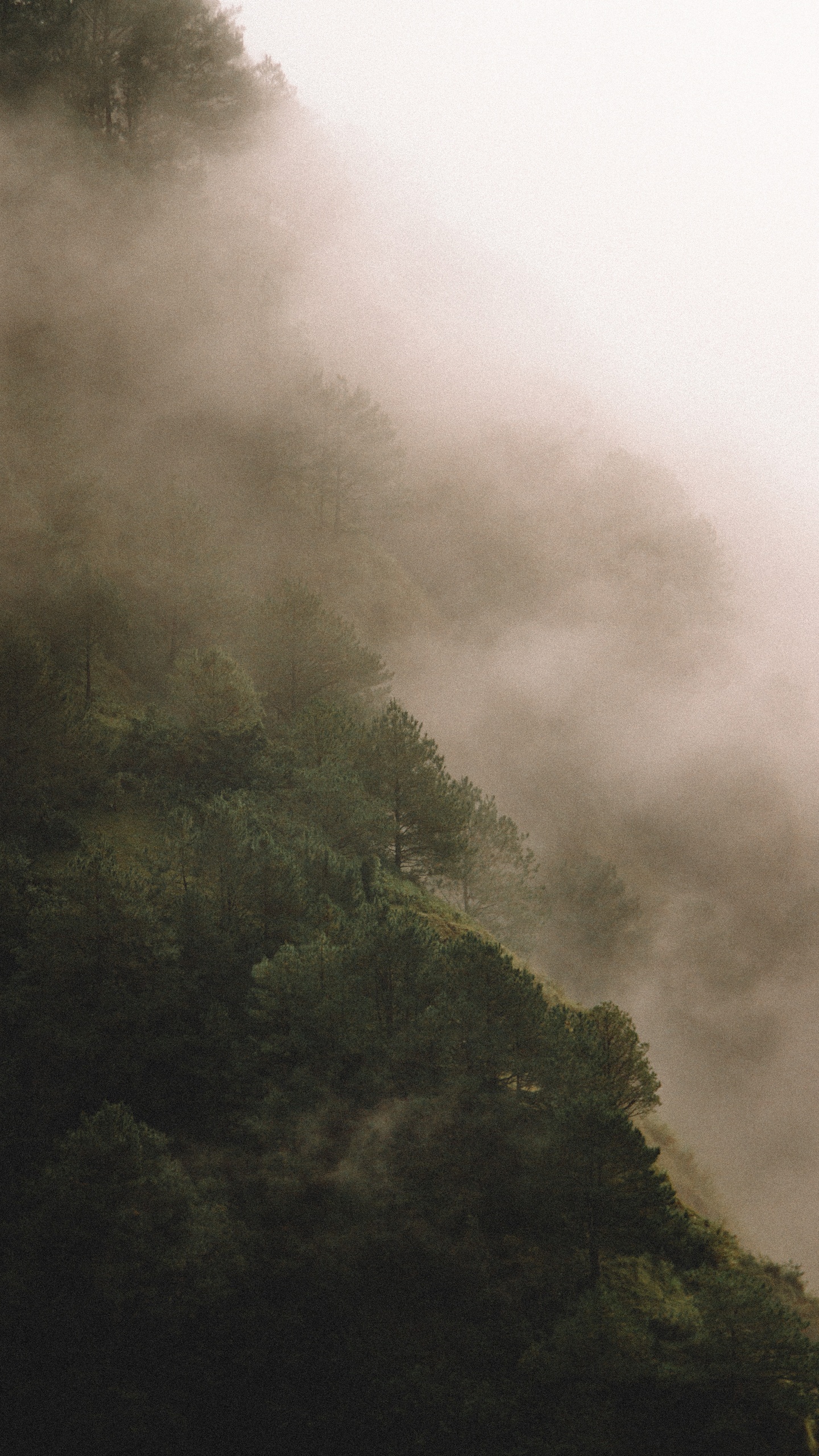 自然景觀,唯美