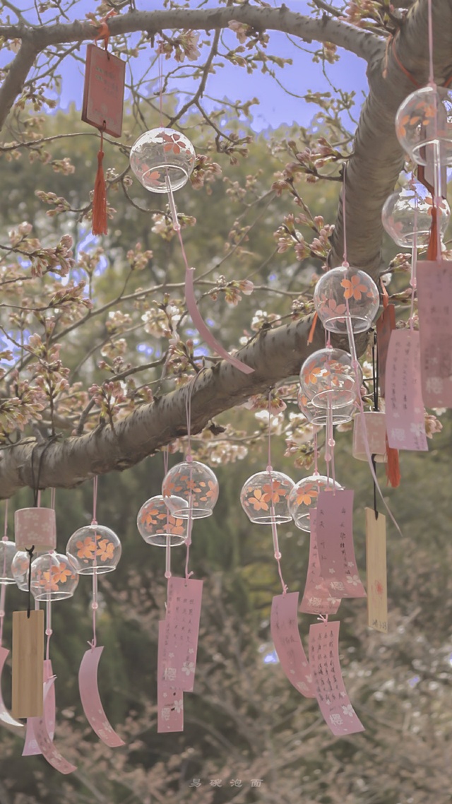 風鈴,浪漫,少女心