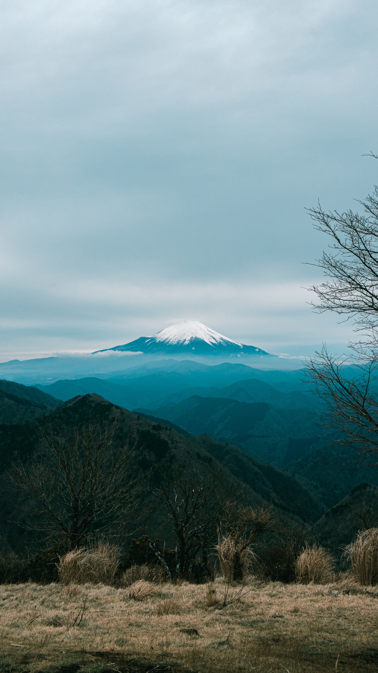 山,自然景观,壮阔