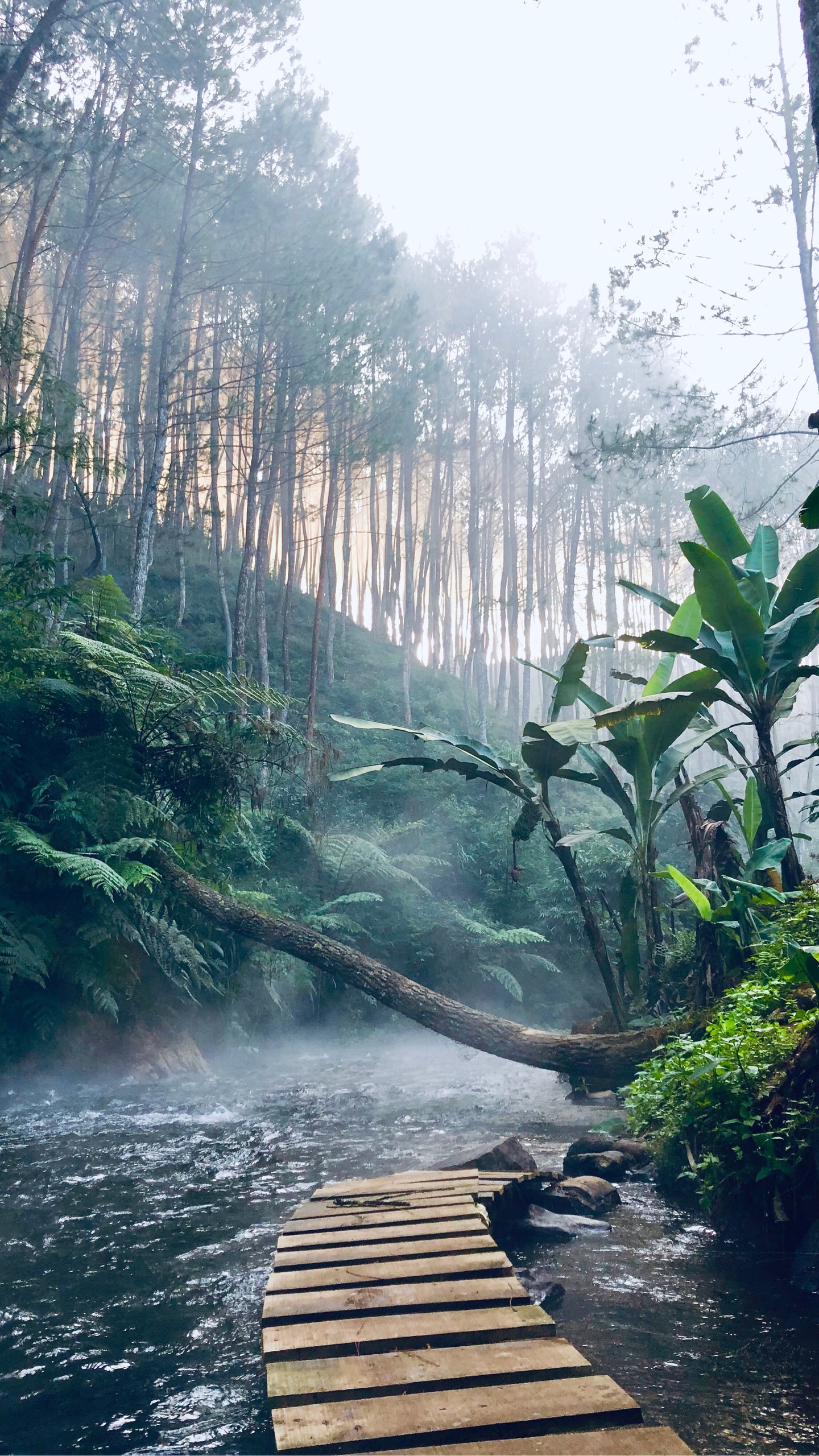 自然景观微信封面背景