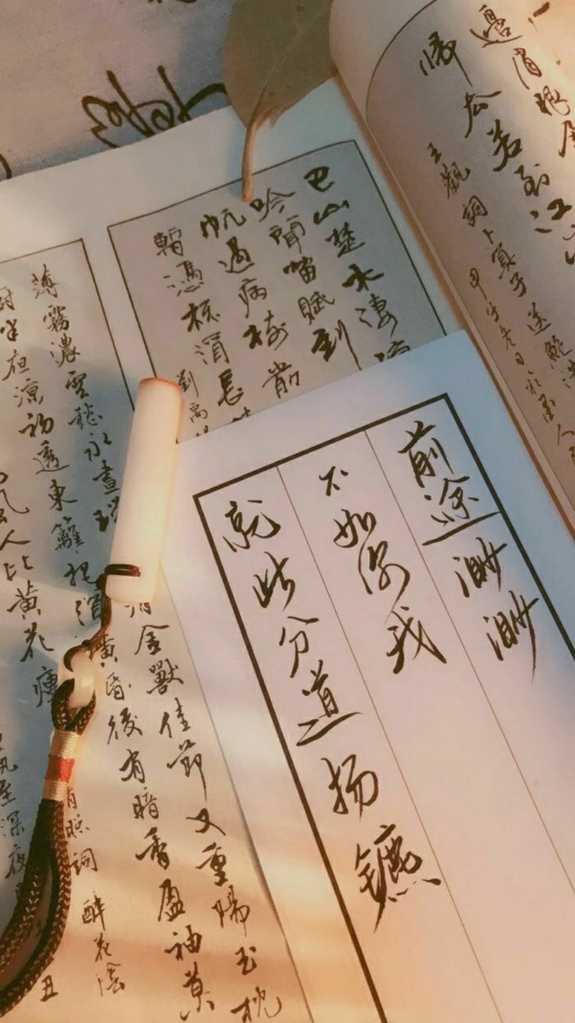 文字,書法