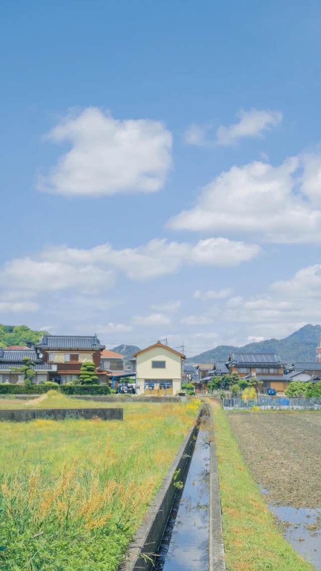 風景,動漫場景,唯美,少女心