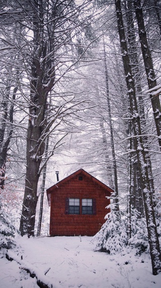 雪,山间小屋,树