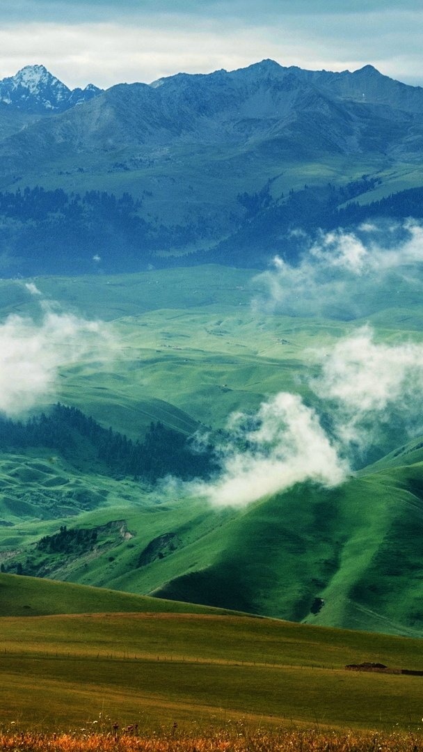 草原 雪山 白雲 廣闊 風景大片壁紙