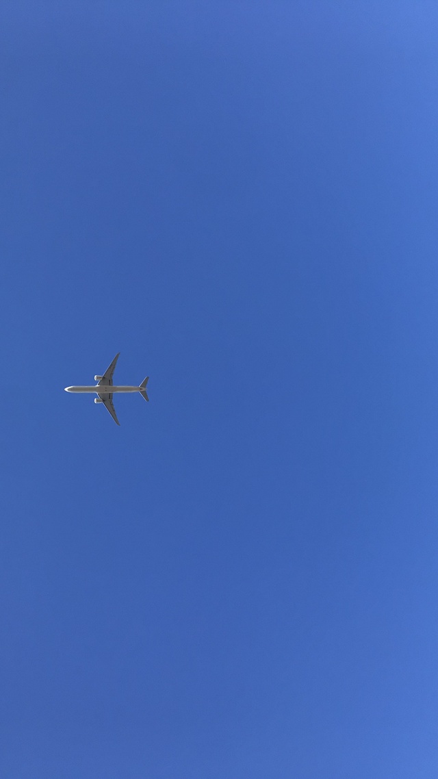 天空,飛機,藍天白雲