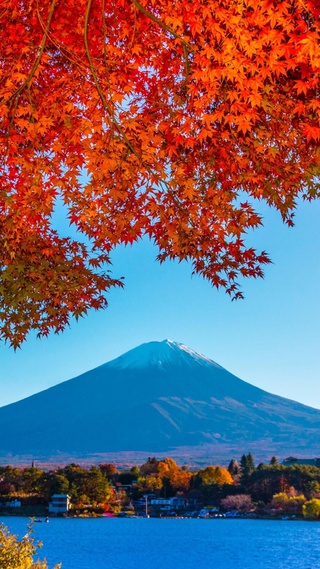 手机微信背景图片富士山,枫叶,秋天