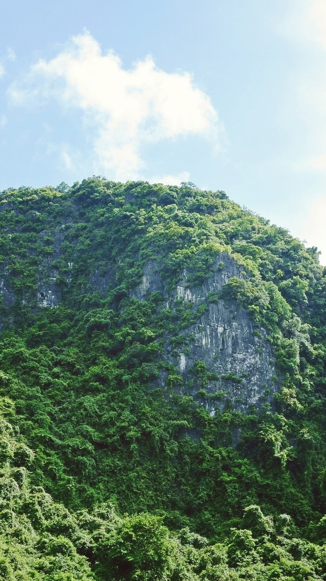 風景 森林 藍天白雲 山川 山脈 4K專區 5472x3544壁紙微信壁紙