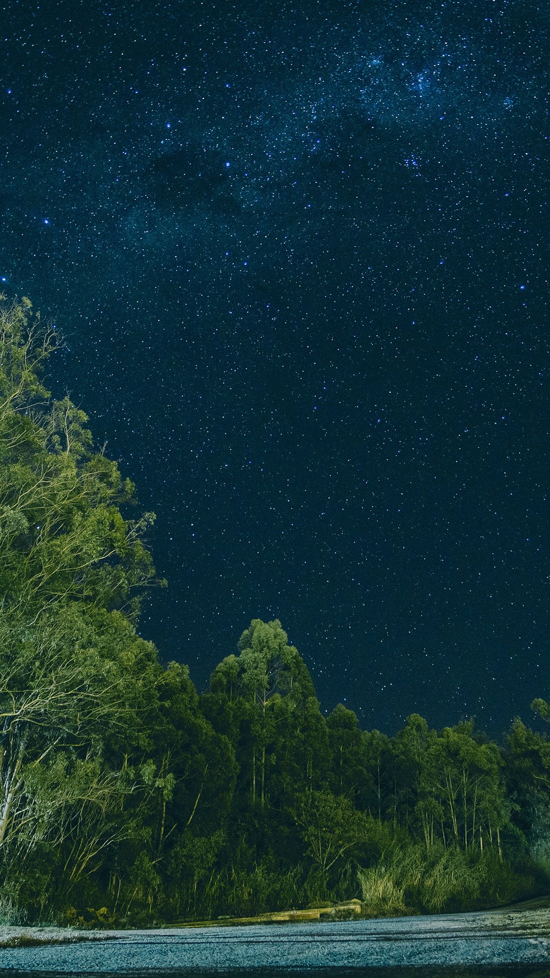 星空,森林,湖泊,花草樹木